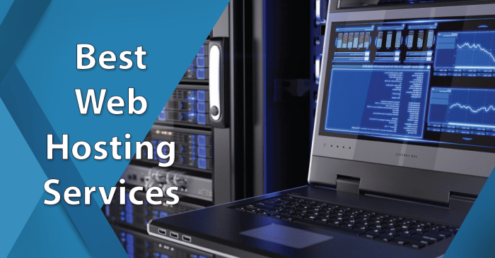Hosting web services